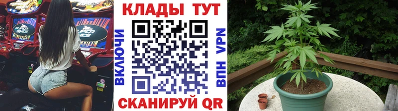 Продажа наркотиков Рубцовск Кокаин  Мефедрон  A-PVP  kraken tor  МЕТАДОН  Марихуана  АМФ 