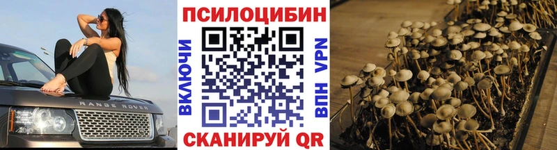 Галлюциногенные грибы Cubensis  Рубцовск 